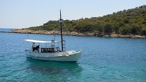 Alonissos restaurants, To Fanari restaurant in Steni Vala