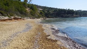 Chrisi Milia beach on the island of Alonissos in Greece