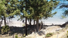 Agios Petros beach on the island of Alonissos in Greece