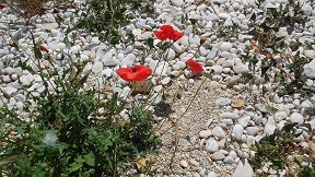 Leftos Gialos beach, Greece