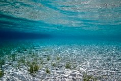 Amorgos Diving Center