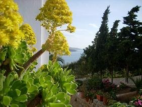 Andros hotels Blue Dolpin Hotel Batsi