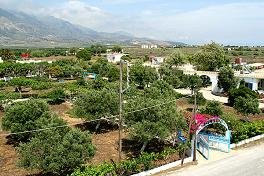 Dolphin Apartments, Frangokastello