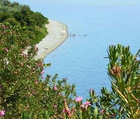 Evia