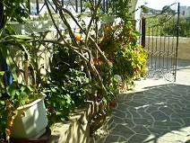 Brothers Pension in Ios