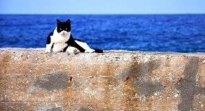 Panormos by Kirki Village, Kreta, Crete, copyright William Donnarel