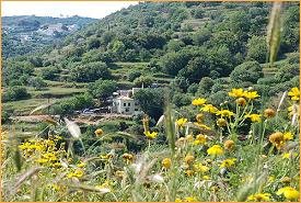 Kythira, Hotel To Lagadi Tou Karava holiday houses, vakantiehuizen