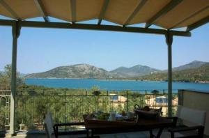 Olive Grove Lesbos Greece