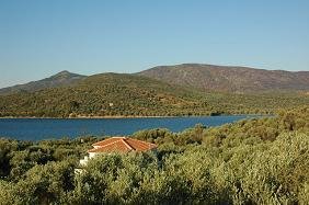 Lesbos Hotels Hotel, Olive Grove