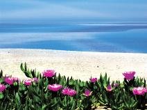 Orpheas Resort in Georgioupoli