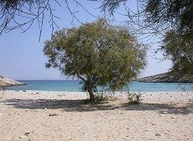 Schinoussa