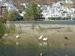 Sifnos Hotels - Sifnaika Konakia Traditional Settlements