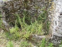 Corfu, Benitses Roman baths, Benitses Romeinse baden