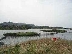 Corfu, Antinioti lagoon