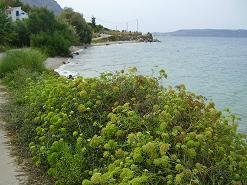 Kalami Beach, Crete, Kreta.