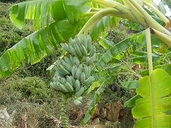 Kalami Beach, Crete, Kreta.