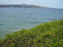 Kalami Beach, Crete, Kreta.