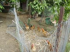 Koufos, Crete, Kreta.