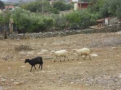 Melidoni, Crete, Kreta.