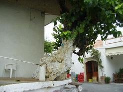 Nipos, Crete, Kreta.