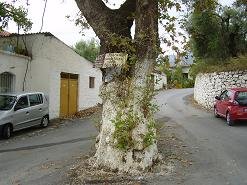 Pemonia, Crete, Kreta.