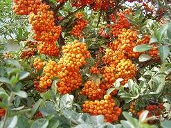 Stalos Beach, Crete, Kreta.
