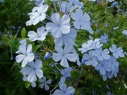 Stalos Beach, Crete, Kreta.