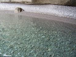 Antiparos sea caves, Antiparos zee-grotten
