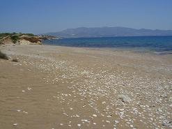 Soros Beach in Antiparos