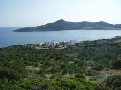 Dolphin Apartments in Antiparos