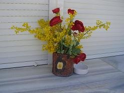 Dolphin Apartments in Antiparos