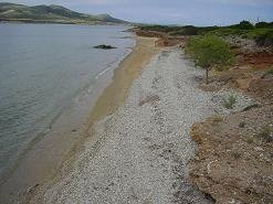 around Dolphin Apartments in Antiparos