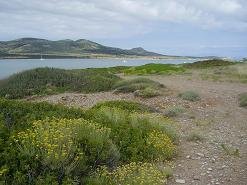 around Dolphin Apartments in Antiparos