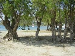 Paros, Parikia, Livadia Beach