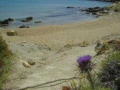 Faranga Beaches Paros