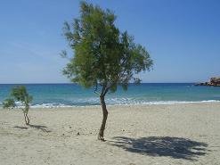 Parasporos Beach Paros