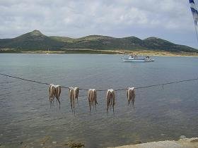 Captain Pipinos  Restaurant in Agios Georgios, Antiparos