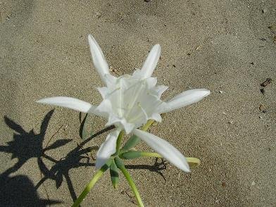Syros Greece, Syros Griekenland