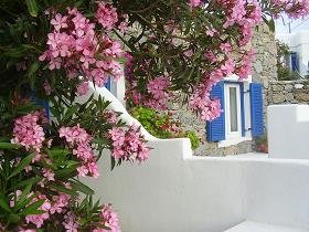 Villa Konstantin in Mykonos town, our studio