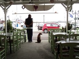 O Kioykis taverna in Karystos Evia