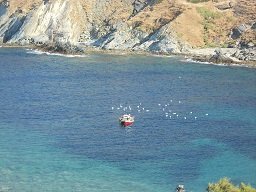 Ayioi Apostoloi Evia