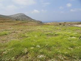 Folegandros