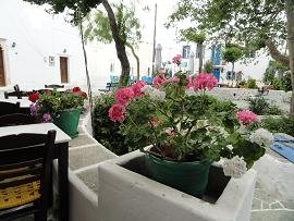 Folegandros, Chora, Taverna Nicolas Place