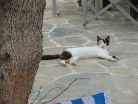 Folegandros, Karavostasis, Evangellis Beach Bar