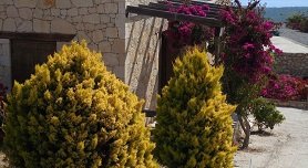 Gavdos Princess apartments, Gavdos