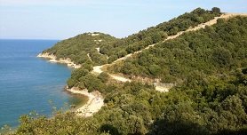 Olympiada, Halkidiki