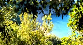 Olympiada, Halkidiki