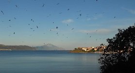 Ammouliani, Amoliani, Hakidiki 