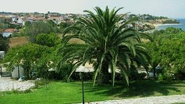 Nea Fokea, Nea Fokaia, Kassandra, Halkidiki