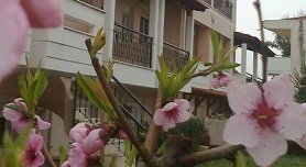 Phillis Maisonettes in Kallithea, Halkidiki